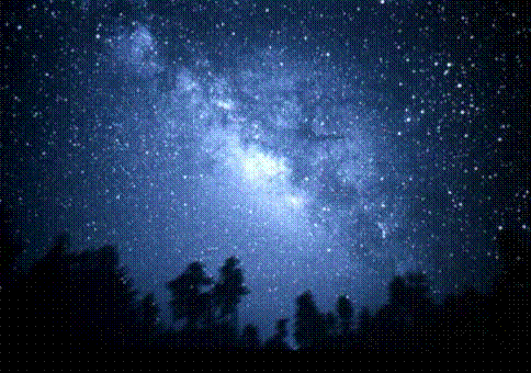 Pictue of the night sky from a backyard