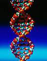 Picture of dna molecule
